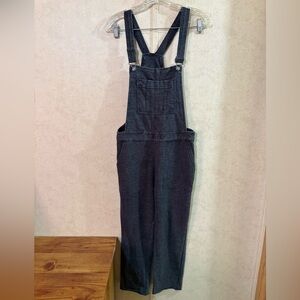 Wallflower Dark Gray Overalls